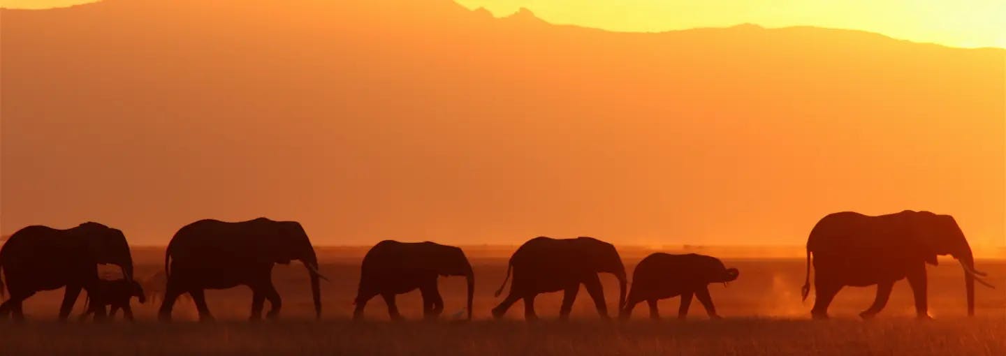 Why Philanthro-activism is key to solving the climate crisis